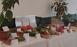 Obr: 46379.jpg