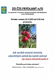 Obr: 47237.jpg