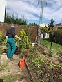 Obr: 2315.jpg