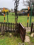 Obr: 2541.jpg