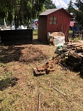 Obr: 2545.jpg