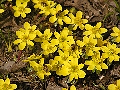 Obr: 6191.jpg