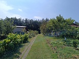 Obr: 45340.jpg