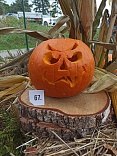 Obr: 43108.jpg