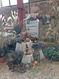 Obr: 43113.jpg