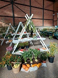 Obr: 43115.jpg