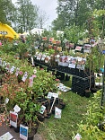 Obr: 44727.jpg