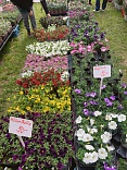Obr: 44730.jpg