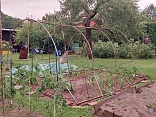 Obr: 45230.jpg