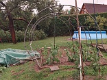 Obr: 45231.jpg