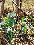 Obr: 47427.jpg