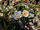 Obr: 47430.jpg