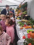 Obr: 49168.jpg