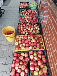 Obr: 49176.jpg