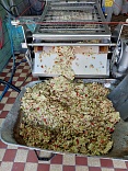 Obr: 49179.jpg
