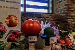 Obr: 49327.jpg