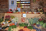 Obr: 49328.jpg