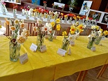 Obr: 44504.jpg