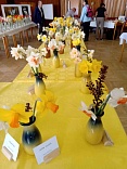Obr: 44505.jpg