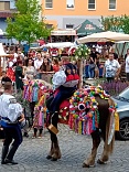 Obr: 44986.jpg