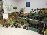 Obr: 48113.jpg