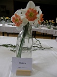 Obr: 48115.jpg