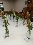 Obr: 53004.jpg