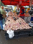 Obr: 53229.jpg