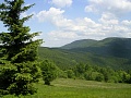 obr