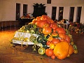 Obr: 2935.jpg
