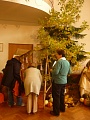 Obr: 7817.jpg