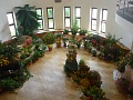 Obr: 9230.jpg