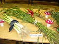 Obr: 1355.jpg