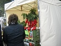 Obr: 22998.jpg