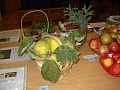Obr: 28260.jpg