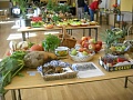 Obr: 28263.jpg