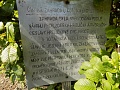 Obr: 32682.jpg