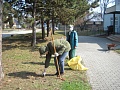Obr: 37819.jpg