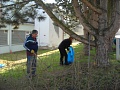 Obr: 37820.jpg