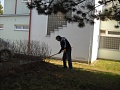 Obr: 37821.jpg