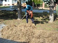 Obr: 37822.jpg