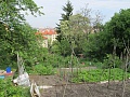 Obr: 7753.jpg