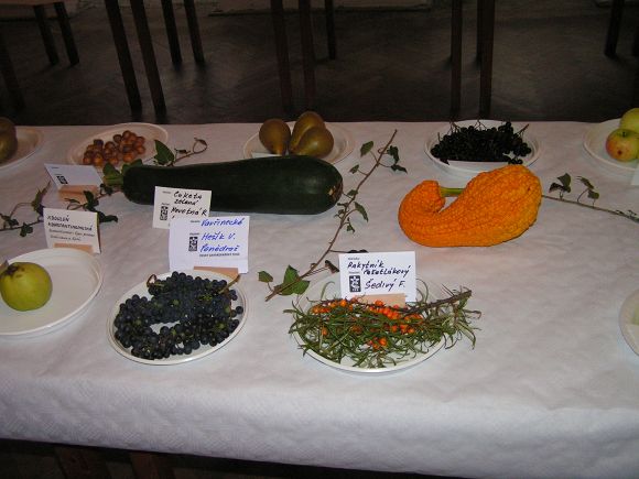 Obr: 9462.jpg