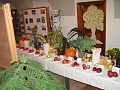 Obr: 14795.jpg