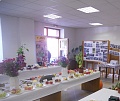 Obr: 17763.jpg
