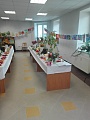 Obr: 23732.jpg