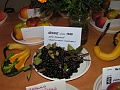 Obr: 9457.jpg