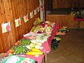Obr: 9460.jpg