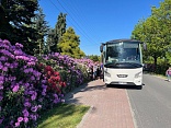 Obr: 44828.jpg