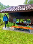 Obr: 52248.jpg